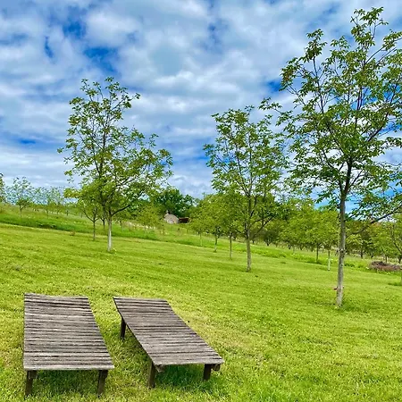 Víztükör apartman Tihany